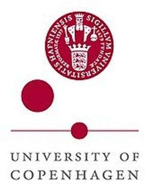 丹麦-哥本哈根IT大学-logo