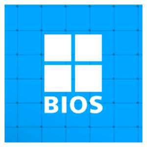 乌拉圭-BIOS大学研究所-logo