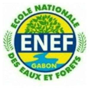 加蓬-国家林业与水管理学院-logo