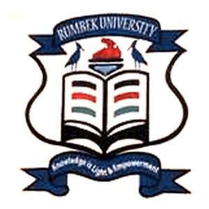 南苏丹-伦拜克大学-logo