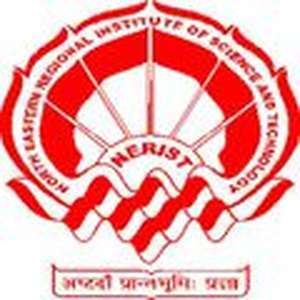 印度-东北地区科技学院-logo