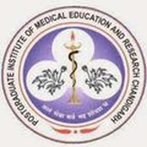 印度-医学教育与研究研究生院-logo