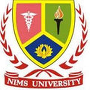 印度-尼姆斯大学-logo