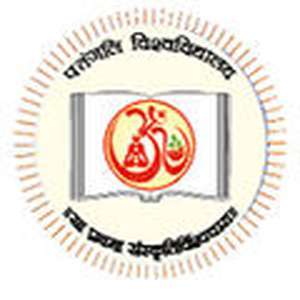 印度-帕坦伽利大学-logo