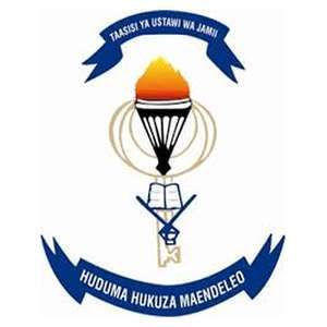 坦桑尼亚-社会工作研究所-logo