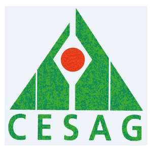 塞内加尔-非洲管理研究中心-logo