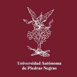 墨西哥-彼德拉斯内格拉斯自治大学-logo