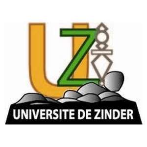 尼日尔-津德尔大学-logo
