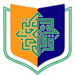 巴基斯坦-南旁遮普研究所-logo