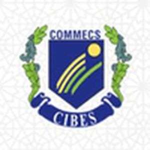 巴基斯坦-Commecs 商业与新兴科学研究所-logo