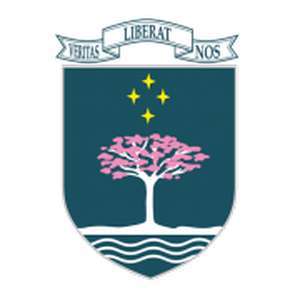 巴拉圭-美洲南锥体大学-logo