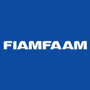 巴西-FIAM FAAM 大学中心-logo