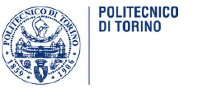意大利-都灵理工学院-logo