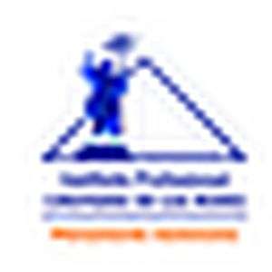 智利-安第斯山脉专业研究所的解放者-logo