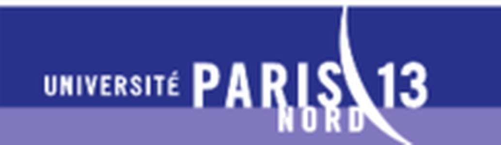 法国-巴黎第十三大学-logo