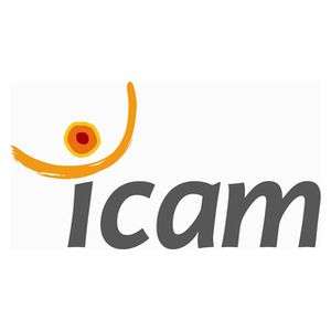 法国-ICAM 工程学院 – ICAM 南特工程学院-logo
