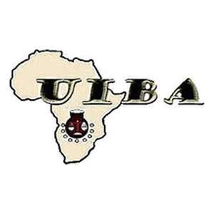 科特迪瓦-非洲国际双语大学-logo