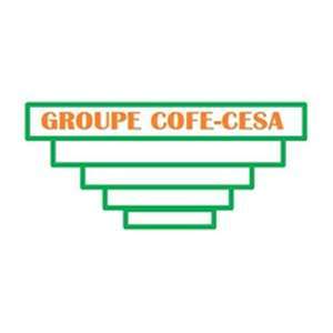 科特迪瓦-CESA商务服务培训中心-logo