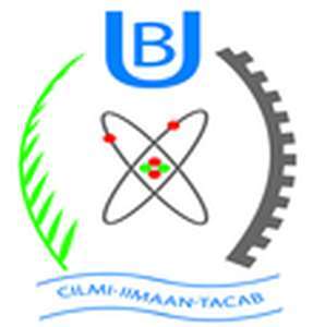 索马里-布劳大学-logo