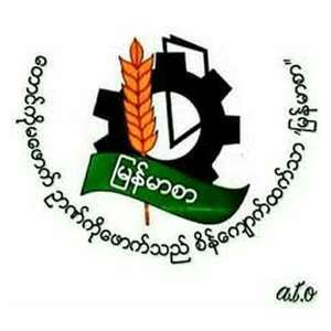 缅甸-大为教育学院-logo