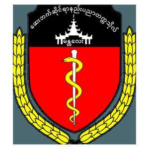 缅甸-曼德勒医科大学-logo