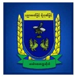 缅甸-欣塔达大学-logo