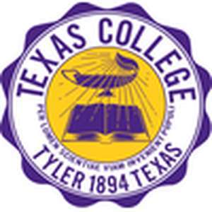 美国-得克萨斯学院-logo