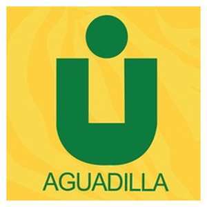 美国-波多黎各美洲大学阿瓜迪亚校区-logo