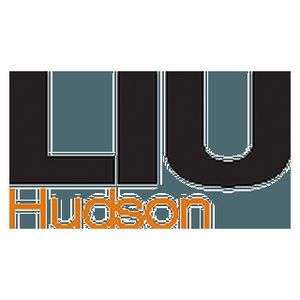 美国-长岛大学-长岛大学，哈德逊-logo