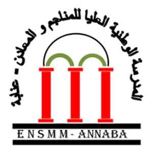 阿尔及利亚-国家采矿与冶金学院-logo